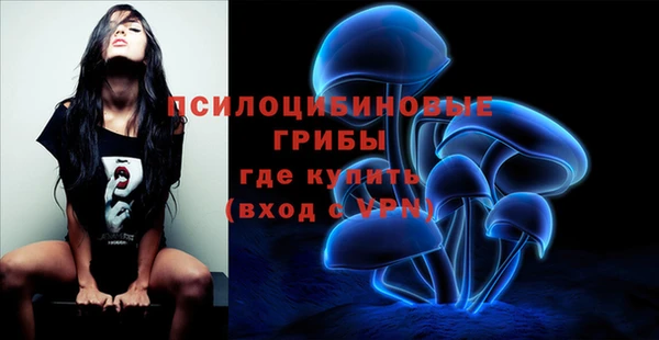 2c-b Алексеевка